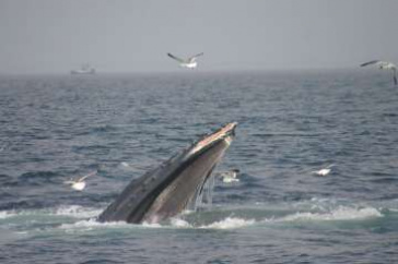 UNH news release featured image