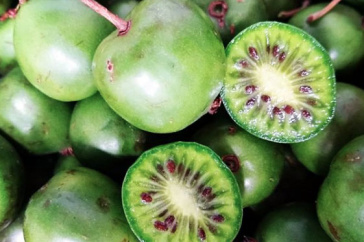 Picture of kiwiberries