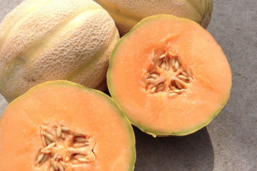 Milan, a hybrid variety developed by Seneca Vegetable Research, utilizing a UNH inbred line
