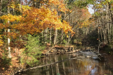 Oyster River
