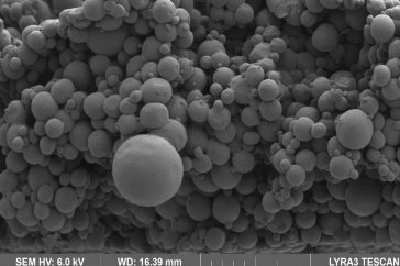 Electron microscope image of the porous hydrogel.
