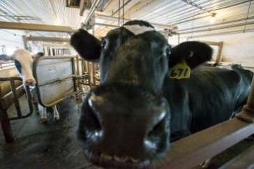 UNH news release featured image