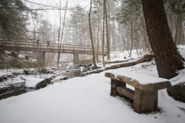 stream during winter