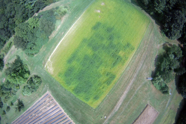 UNH cover crops