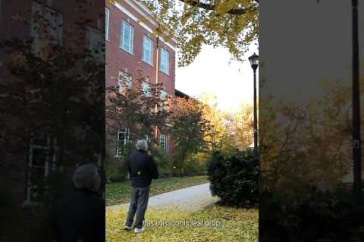 Why Do Ginkgo Trees Drop All Their Leaves at Once? A UNH Expert Explains