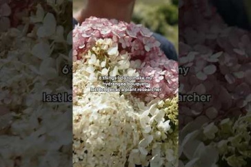How to Make Hydrangea Bouquets Last Longer