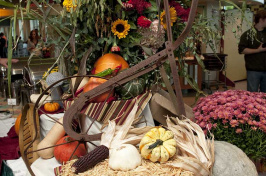 cornucopia at UNH local harvest dinner