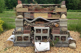 UNH bee hotel