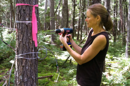 Ecohydrologist Heidi Asbjornsen 