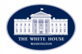 the white house - graphic
