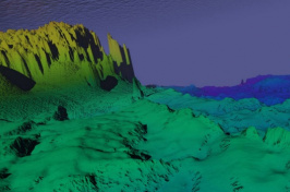 digital illustration of the seafloor (Image: Glen Watson)