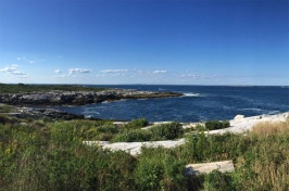 Appledore Island