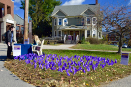 Small, purple flags cover the lawn outside of the Wolff House at UNH. There are 322 flags, each representing 10 students who have been affected by relationship abuse. 