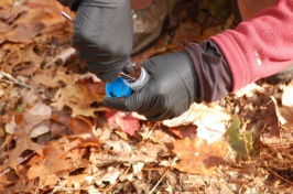 gathering a soil sample