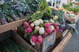 farmers market produce 