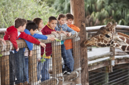 children at a zoo