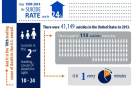 A chart showing suicide rates in the United States
