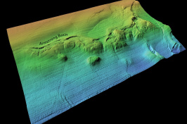 multicolored image of seafloor feature