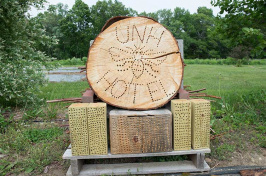 UNH bee hotel