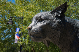 Wildcat statue at University of New Hampshire