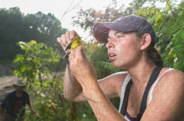 A UNH student at work in the field