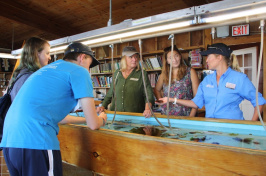 US Rep. Carol Shea-Porter at the Shoals Marine Lab