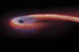 This artist rendering provided by NASA shows a star being swallowed by a black hole, and emitting an X-ray flare, shown in red, in the process