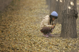 A girl plays in the aftermath of a giant ginkgo dump in Beijing in 2006.