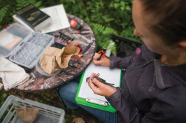 Graduate student Erica Holm ’16 is one of several UNHers involved in a Hamel Center summer research project to evaluate bird communities in shrubbery that grows along power lines. 