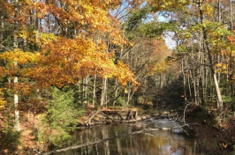 Oyster River in autumn