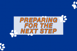 A graphic with the words "Preparing for the next step."