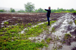 Jane Presby, owner of Dimond Hill Farm in Concord, points to one of the fields yet to be fully planted because of water (GEOFF FORESTER photos / Monitor staff)