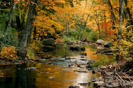 river in autumn