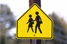 school pedestrian road sign