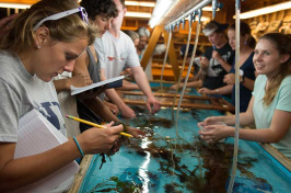 UNH students working in the Shoals Marine Laboratory