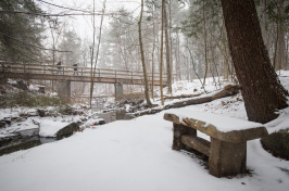 A stream in winter
