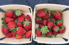 two quarts of strawberries 