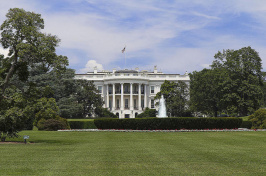 image of the whitehouse