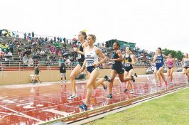 Elinor Purrier of the University of New Hampshire takes control of the race early to win her quarterfinal heat Saturday at the NCAA East Preliminary Round meet at USF Track and Field Stadium at the University of South Florida in Tampa, Fla. (Photo: USA TODAY Sports)