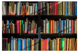 Books on library bookshelves