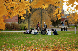 Students sitting on T Hall lawn