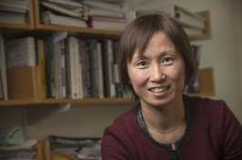 Associate professor of marketing Shuili Du