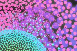 abstract picture of pink and green circles