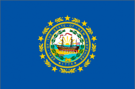 Image of the NH State Flag