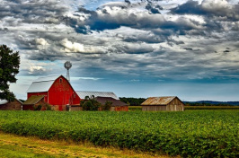 image of farm