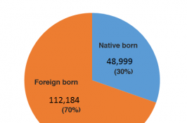 image of pie chart