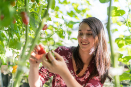 A UNH student examining a plant