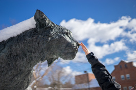 UNH's Wildcat statue with a student's arm reaching up to pat the nose