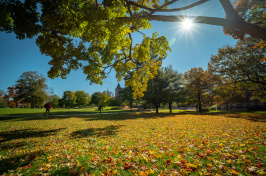 THe UNH campus in fall