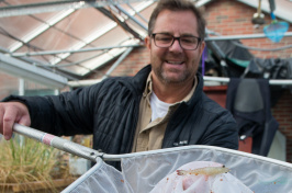 UNH researcher Michael Chambers with a greenhouse-grown shrimp in a net